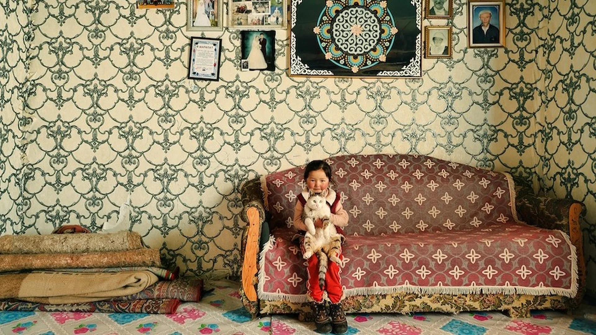 Sony World Photography Awards zveřejnila porotu a termíny na rok 2027